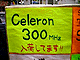 Celeron300MHz