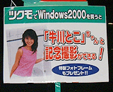 Windows 2000