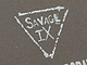 Savage IX搭載カード＠ツクモParts王国／TSUKUMO eX.／ツクモパソコン本店II