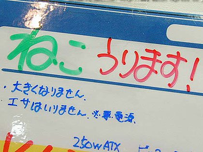 00年5月13日号 掲載 ペンギンに続け 犬と猫の形をしたpcケースが登場 Akiba Pc Hotline