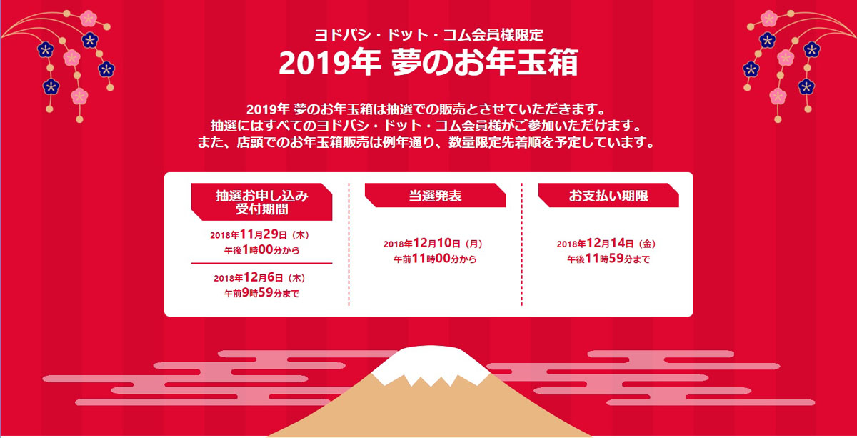 ヨドバシ・ドット・コム、「2019年 夢のお年玉箱」の抽選申し込みを ...