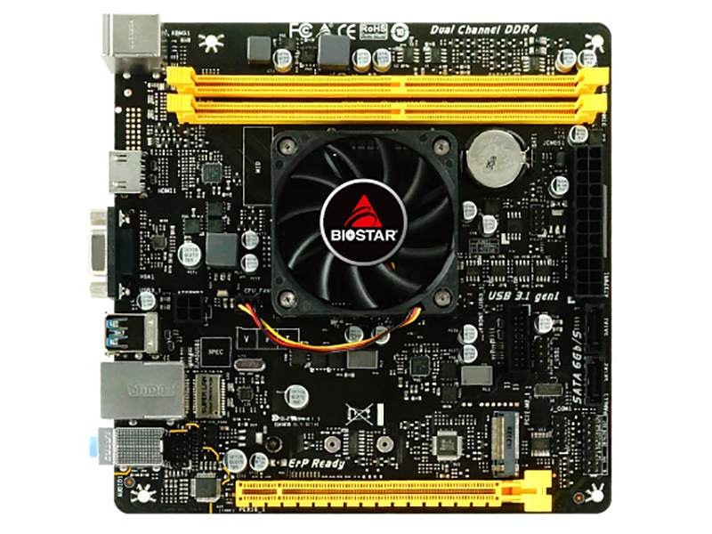 amdbio1.jpg
