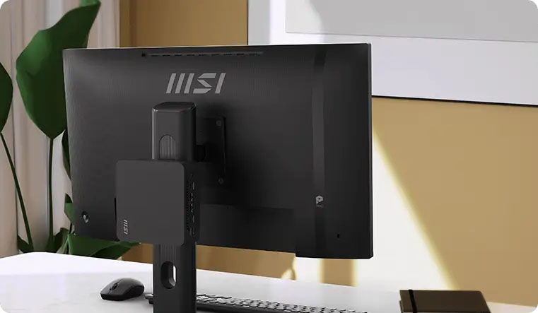 ms2.jpg